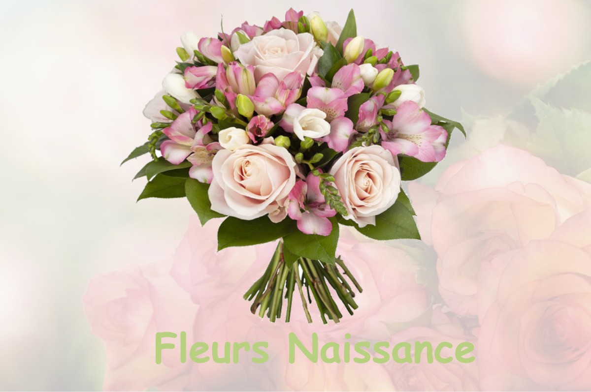 fleurs naissance PASSY-SUR-MARNE